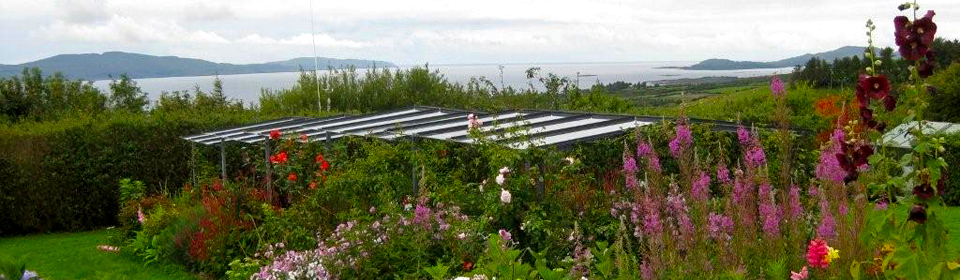 View over the bay from Passaddhi garden.